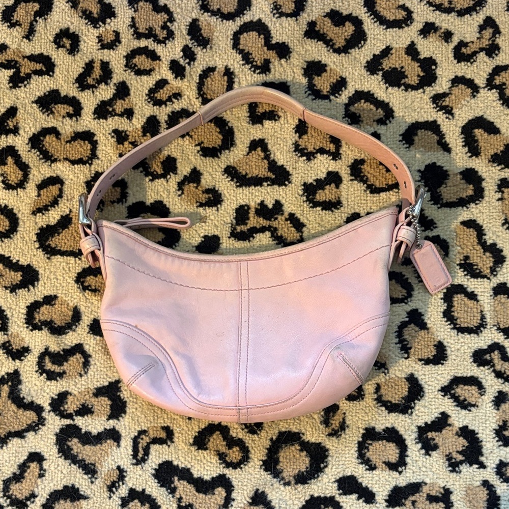 Coach hobo bag